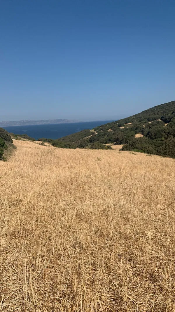 Seafront 50,948 m² Land for Sale in Paros, Cyclades — photo 4