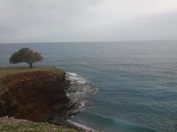 60,000 m² Plot of Land for Sale in Milatos, Agios Nikolaos — photo 2