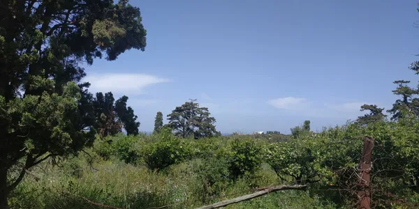 Sea-View 5,700 m² Land for Sale in Kontomari, Platanias — photo 5
