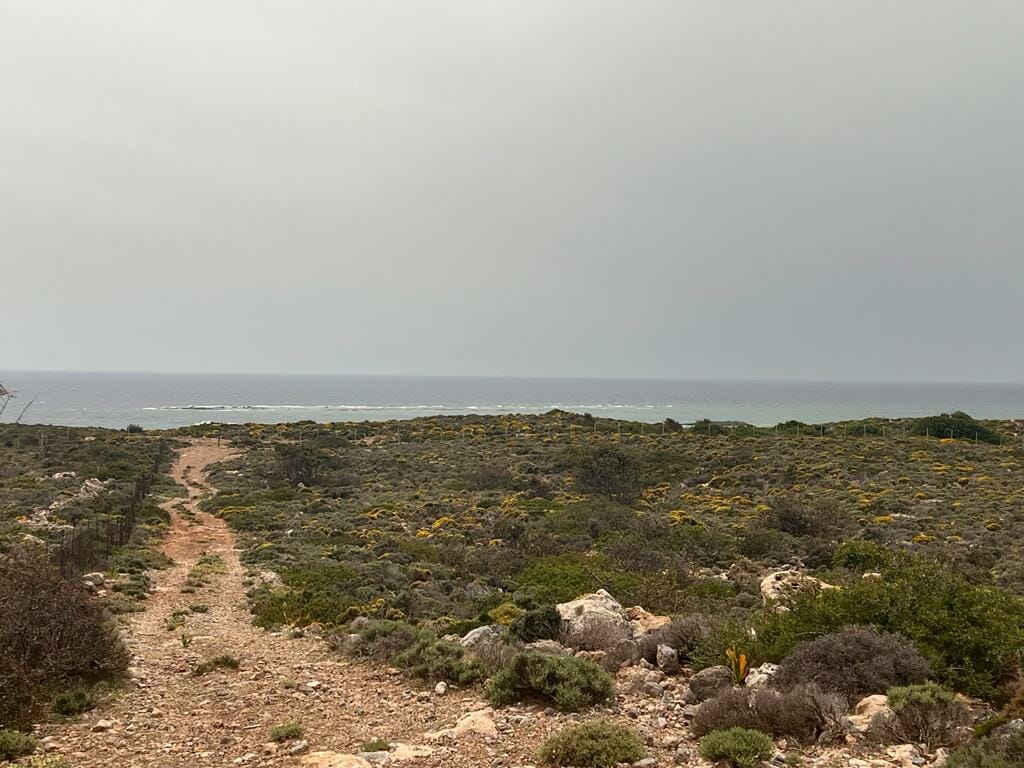 Sea-View 12,014 m² Plot of Land for Sale in Elafonisi, Kissamos