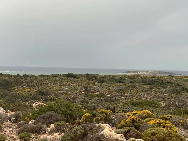 Sea-View 12,014 m² Plot of Land for Sale in Elafonisi, Kissamos — photo 2