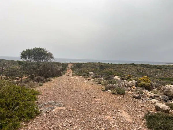 Sea-View 12,014 m² Plot of Land for Sale in Elafonisi, Kissamos — photo 4