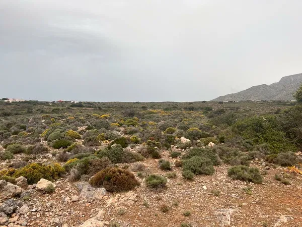 Sea-View 12,014 m² Plot of Land for Sale in Elafonisi, Kissamos — photo 3