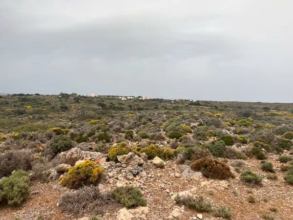 Sea-View 12,014 m² Plot of Land for Sale in Elafonisi, Kissamos — photo 5