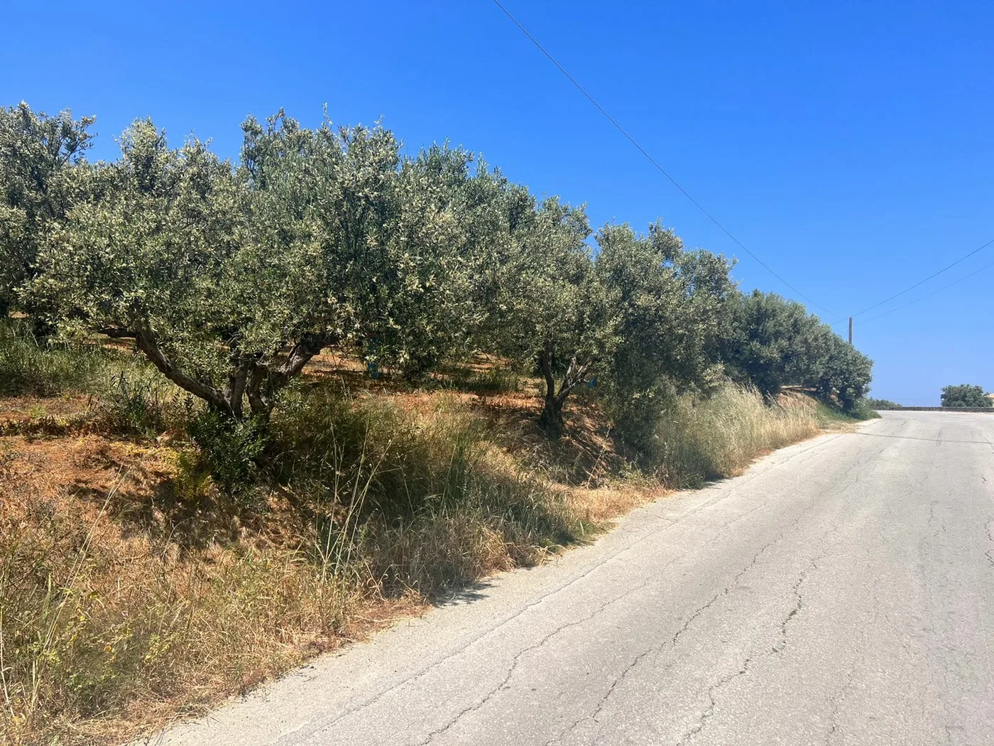 1,785 m² Plot for Sale in Vouves, Platanias