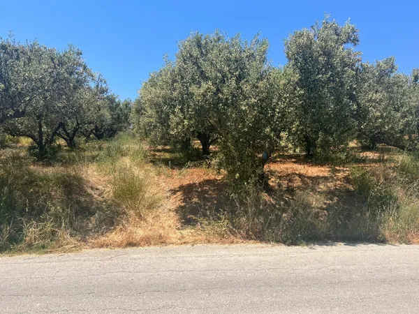 1,785 m² Plot for Sale in Vouves, Platanias — photo 2