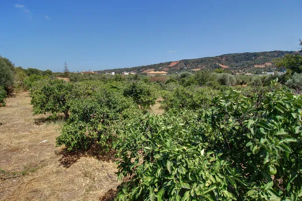 1,361 m² Land for Sale in Voukolies, Platanias — photo 3