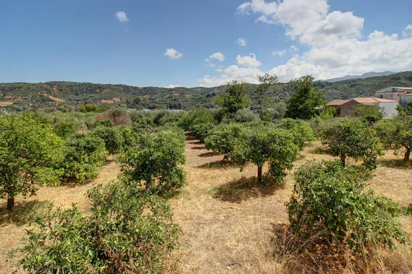 1,361 m² Land for Sale in Voukolies, Platanias — photo 2