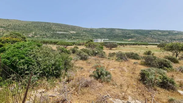Sea-View 10,224 m² Plot of Land for Sale in Falasarna, Kissamos — photo 3