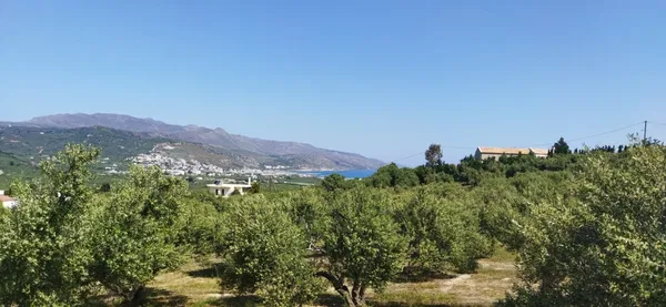 Seafront 20,660 m² Land for Sale in Darmarochori, Platanias