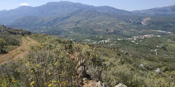 23,500 m² Land for Sale in Likotinara, Apokoronas — photo 5