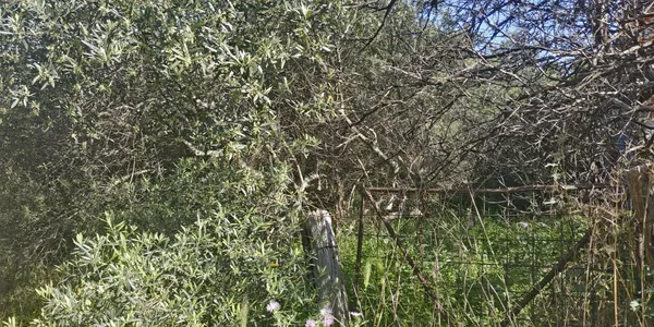 800 m² Plot for Sale in Chalepa, Chania — photo 3