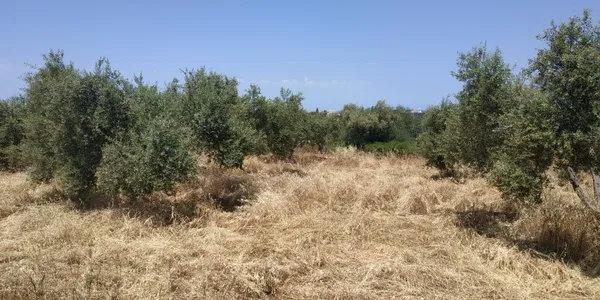 Sea-View 5,800 m² Land for Sale in Chorafakia, Akrotiri — photo 5