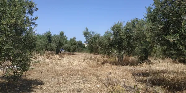 Sea-View 5,800 m² Land for Sale in Chorafakia, Akrotiri — photo 4