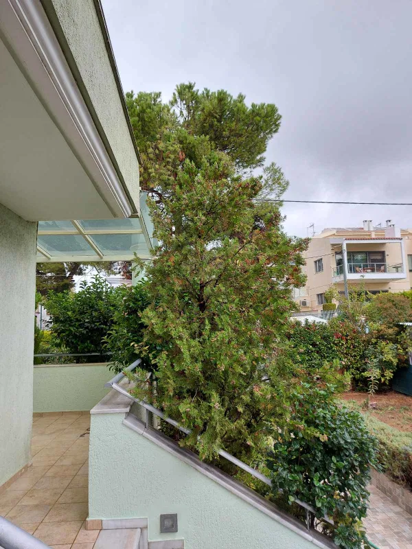 Three-Bedroom Villa for Sale in Agios Stefanos Athens, Athens Northern suburbs — photo 4