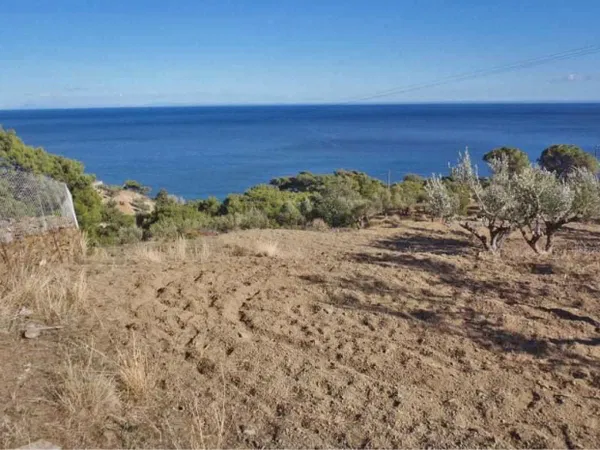 5,100 m² Land for Sale in Karpathos, Dodecanese Islands — photo 3
