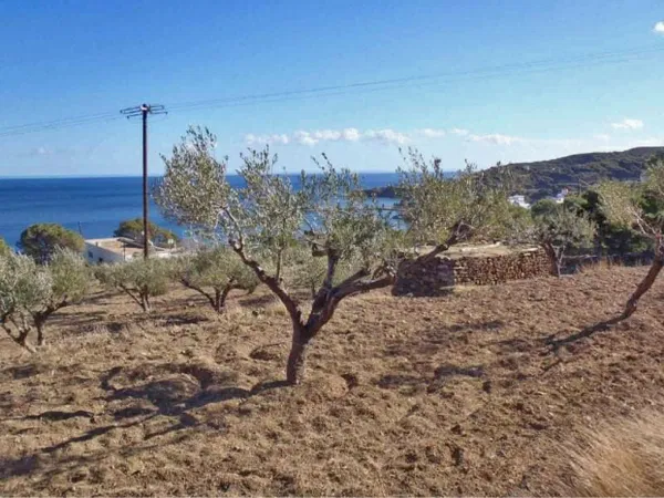 5,100 m² Land for Sale in Karpathos, Dodecanese Islands — photo 5
