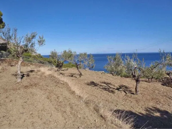5,100 m² Land for Sale in Karpathos, Dodecanese Islands — photo 4
