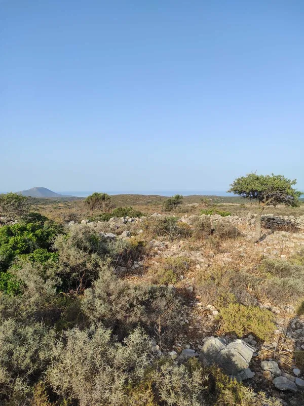 17,000 m² Land for Sale in Kythira, Ionian Islands — photo 3