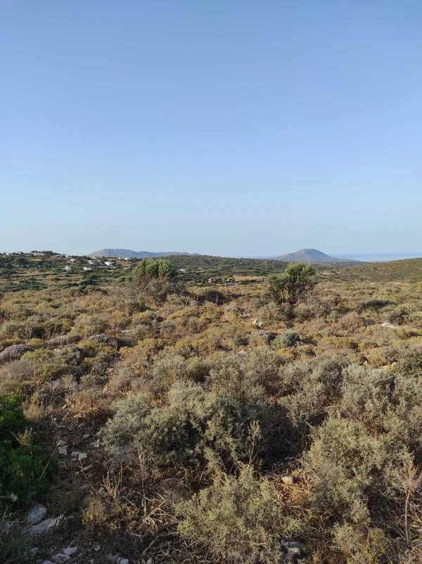 17,000 m² Land for Sale in Kythira, Ionian Islands — photo 5