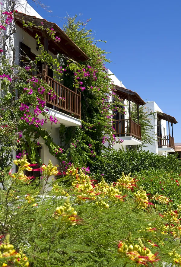 Sea-View Hotel for Sale in Patmos, Dodecanese Islands — photo 3