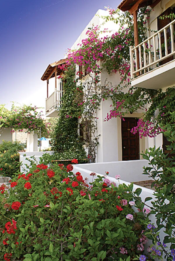 Sea-View Hotel for Sale in Patmos, Dodecanese Islands — photo 4