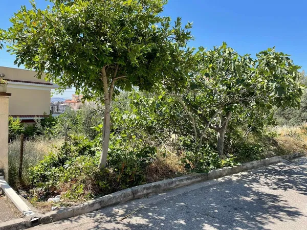 232 m² Plot of Land for Sale in Agioi Anargyroi, Athens Western Suburbs — photo 5