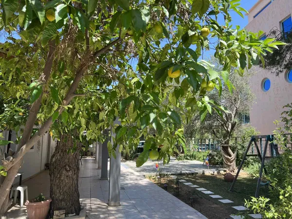 650 m² Plot for Sale in Kifisia, Athens Northern suburbs — photo 5
