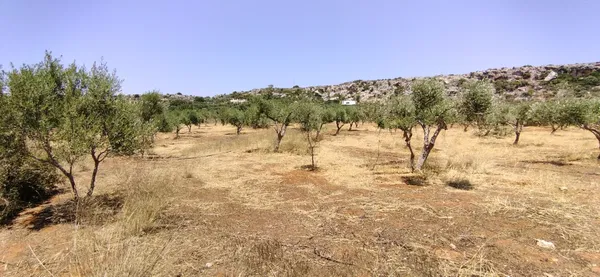5,803 m² Plot for Sale in Argoulides, Akrotiri — photo 2