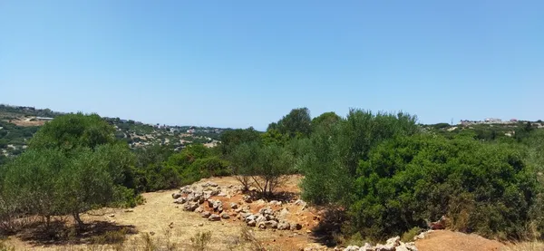 5,803 m² Plot for Sale in Argoulides, Akrotiri