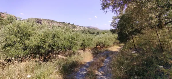 4,000 m² Land for Sale in Pemonia, Apokoronas — photo 3