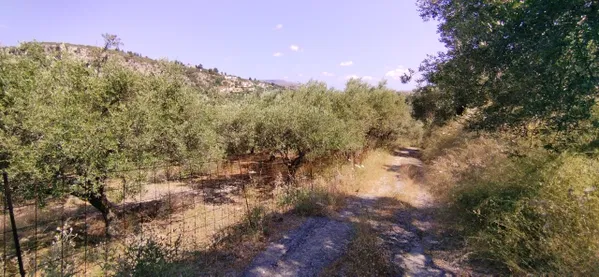4,000 m² Land for Sale in Pemonia, Apokoronas — photo 5