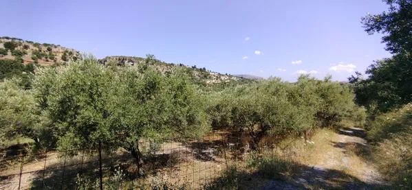 4,000 m² Land for Sale in Pemonia, Apokoronas