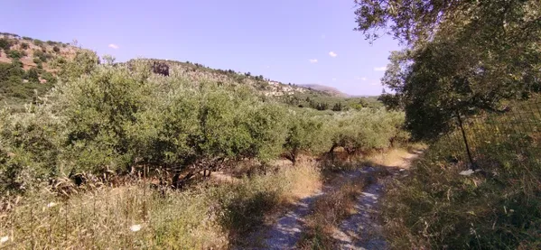 4,000 m² Land for Sale in Pemonia, Apokoronas — photo 4