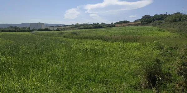Sea-View 10,600 m² Land for Sale in Dramia, Apokoronas — photo 3