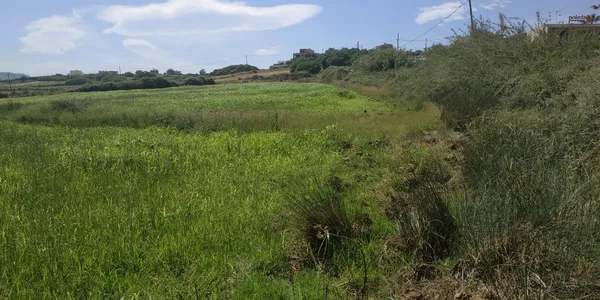 Sea-View 10,600 m² Land for Sale in Dramia, Apokoronas — photo 5