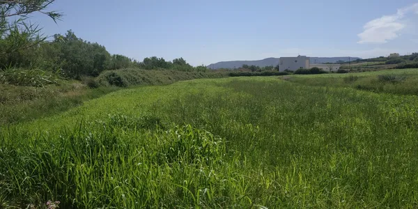 Sea-View 10,600 m² Land for Sale in Dramia, Apokoronas — photo 2