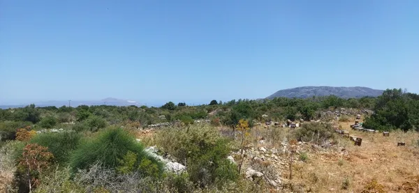 Seafront 9,800 m² Land for Sale in Vamos, Apokoronas — photo 2