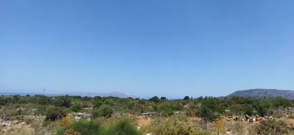 Seafront 9,800 m² Land for Sale in Vamos, Apokoronas