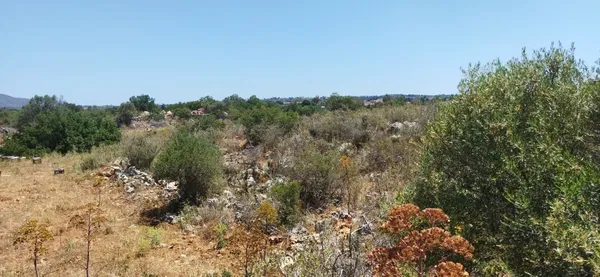 Seafront 9,800 m² Land for Sale in Vamos, Apokoronas — photo 5