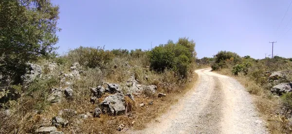 Seafront 9,800 m² Land for Sale in Vamos, Apokoronas — photo 3