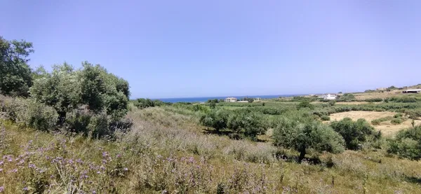 Seafront 7,300 m² Plot for Sale in Dramia, Apokoronas — photo 4