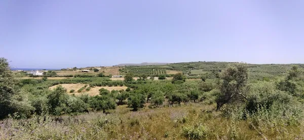 Seafront 7,300 m² Plot for Sale in Dramia, Apokoronas — photo 5
