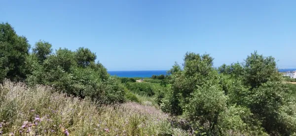 Seafront 7,300 m² Plot for Sale in Dramia, Apokoronas
