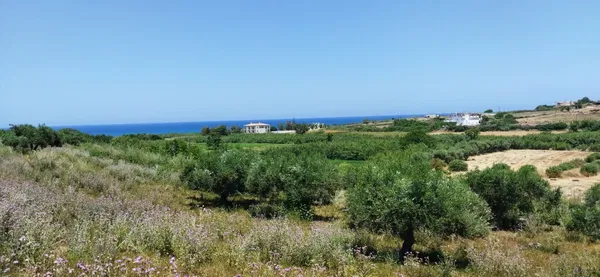 Seafront 7,300 m² Plot for Sale in Dramia, Apokoronas — photo 2
