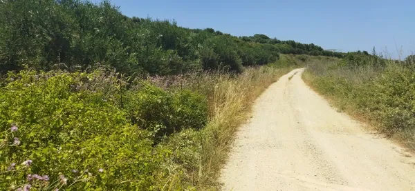 Seafront 7,300 m² Plot for Sale in Dramia, Apokoronas — photo 3