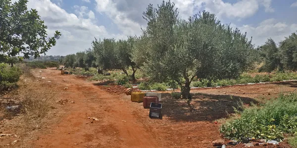 Seafront 5,022 m² Land for Sale in Stavros, Akrotiri