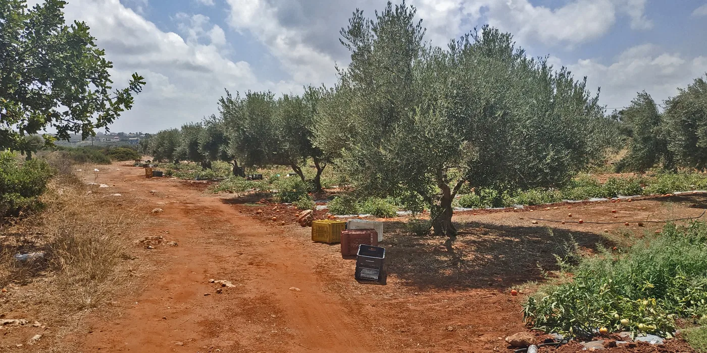 Seafront 5,022 m² Land for Sale in Stavros, Akrotiri