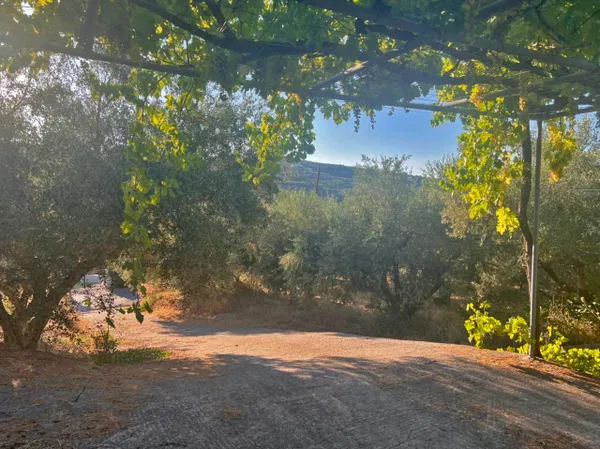 2,200 m² Land for Sale in Sirili, Platanias — photo 5