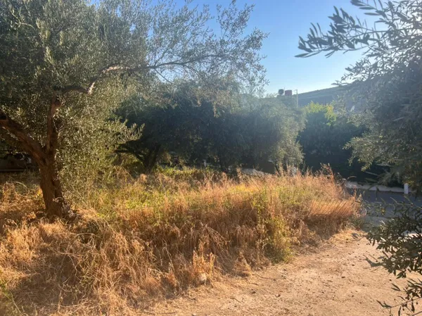 2,200 m² Land for Sale in Sirili, Platanias — photo 4